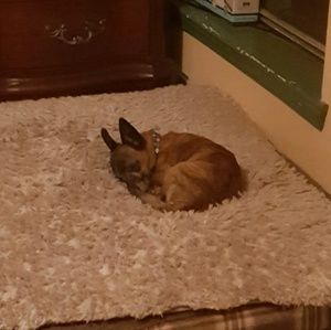 Meet your Posher, Sharon